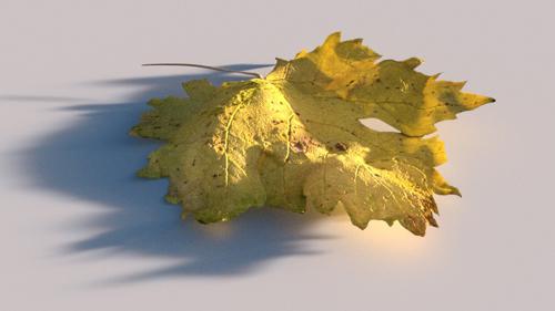 High Poly Autumn Leaf preview image